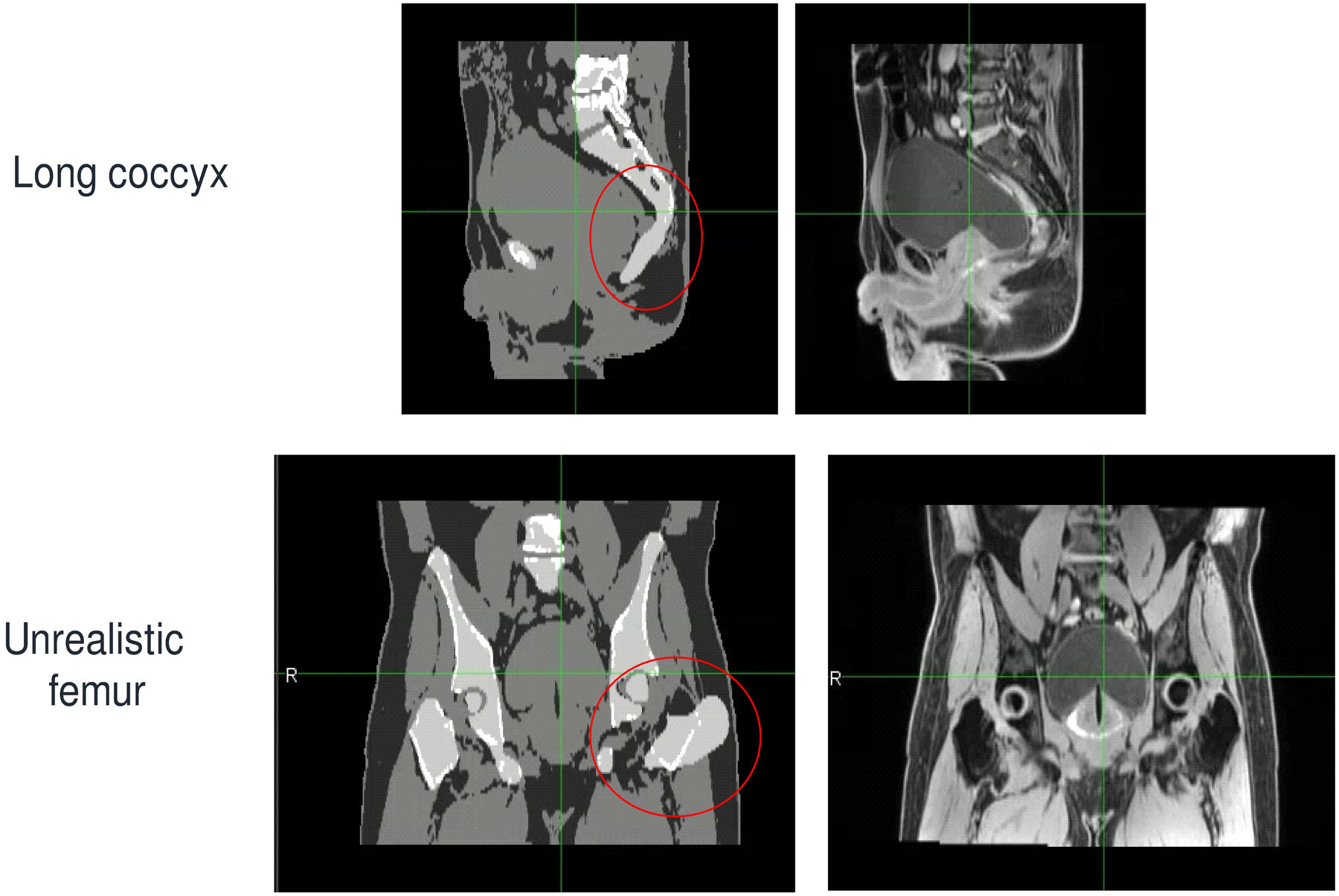 Figure 2: