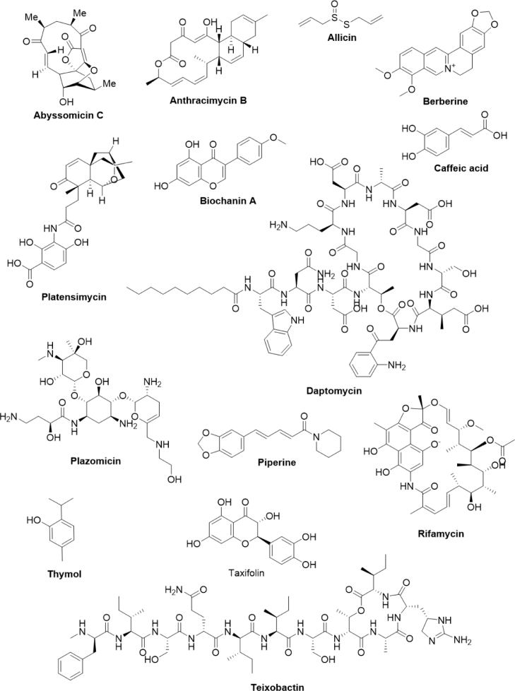 Fig 2