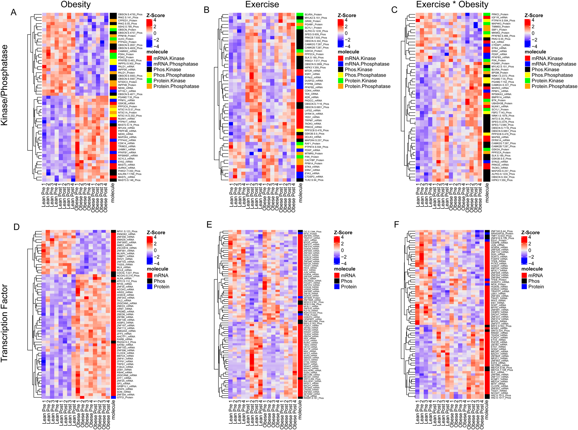 Figure 6: