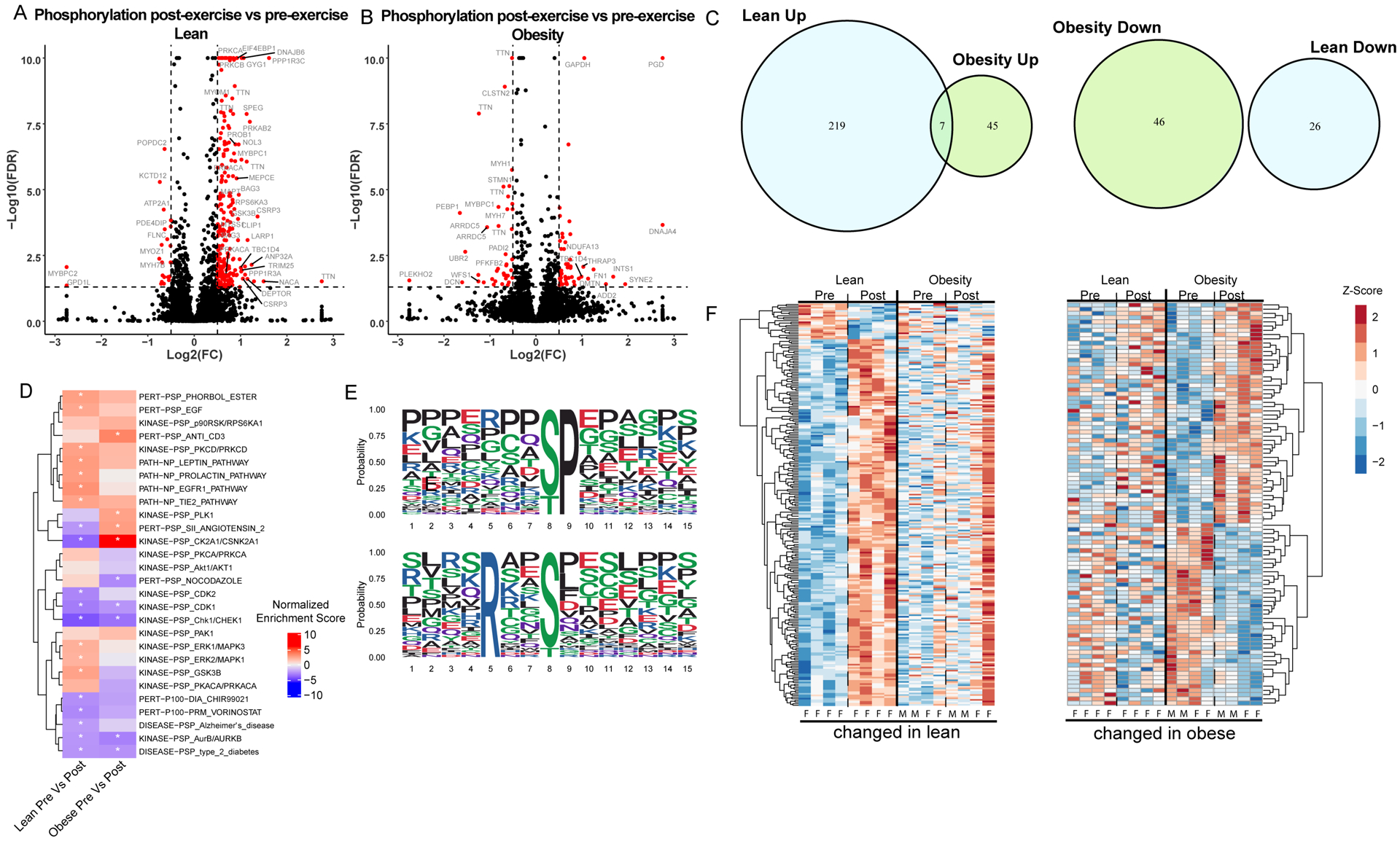 Figure 4: