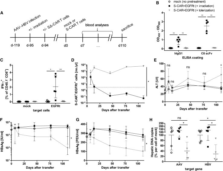 Figure 6