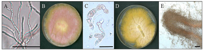 FIG 3