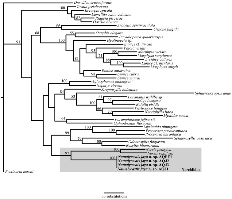 Figure 4.