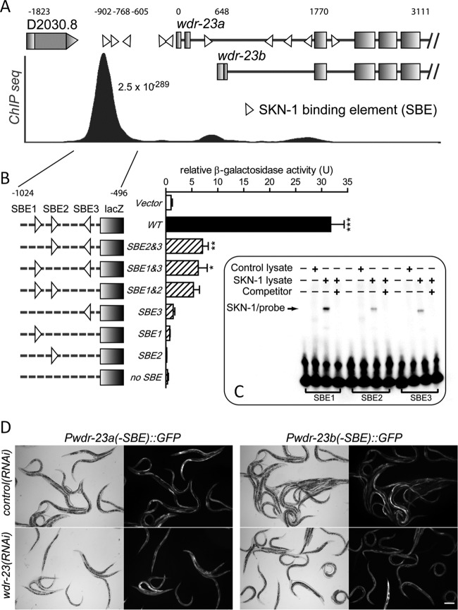 Fig 3