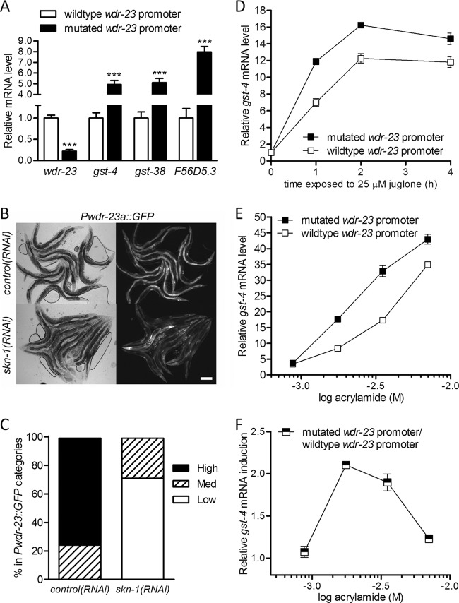 Fig 6