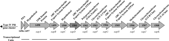 FIG. 1.