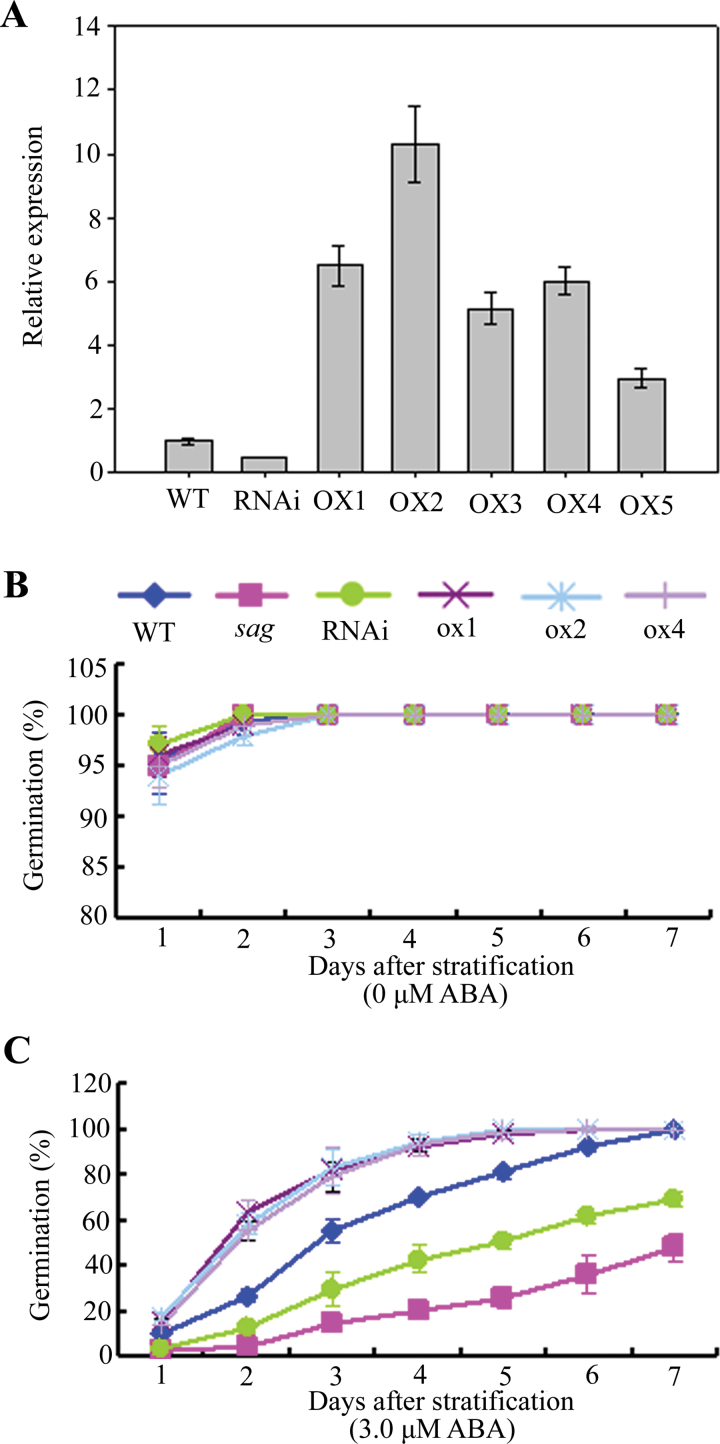 Fig. 4.