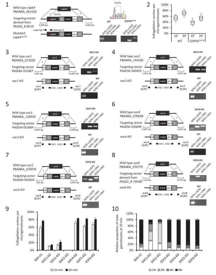 Figure 4—figure supplement 1.