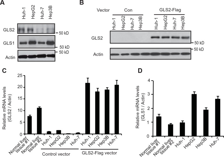 Figure 2—figure supplement 2.