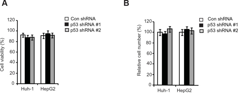 Figure 6—figure supplement 1.