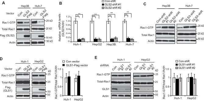 Figure 2—figure supplement 1.