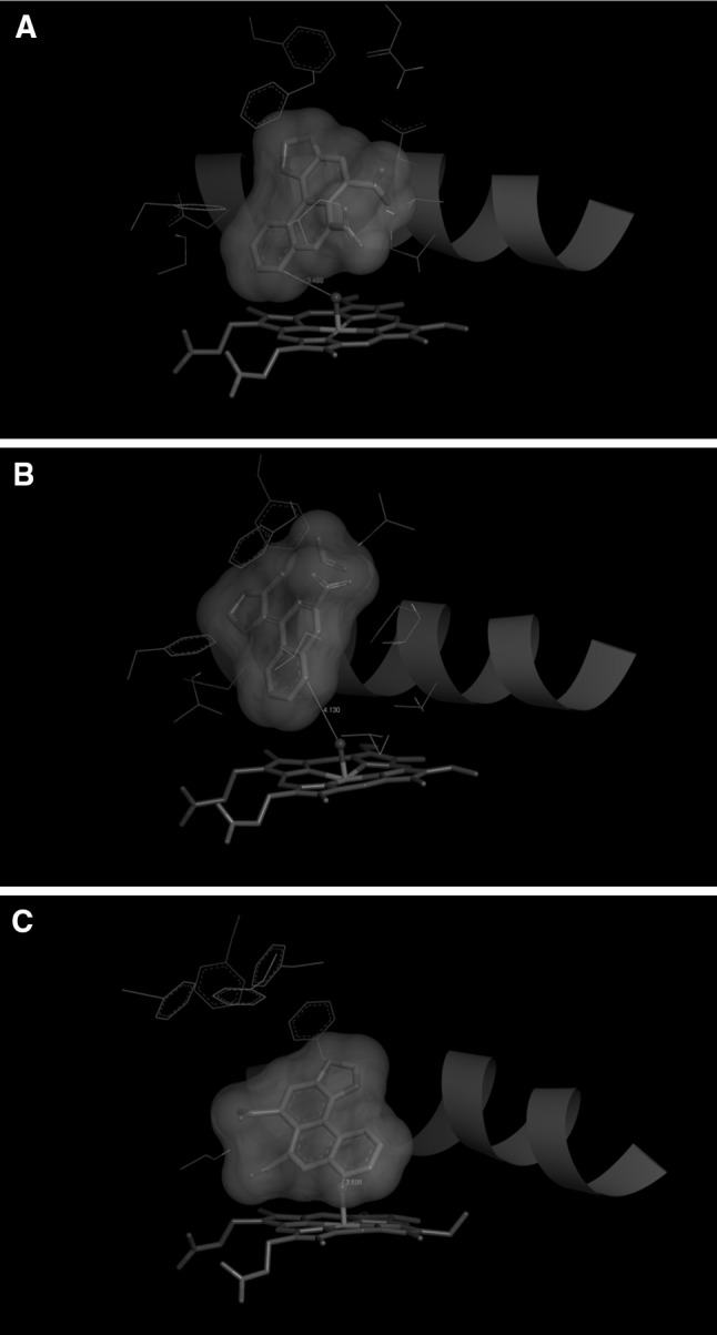 Fig. 6