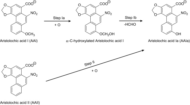 Fig. 5