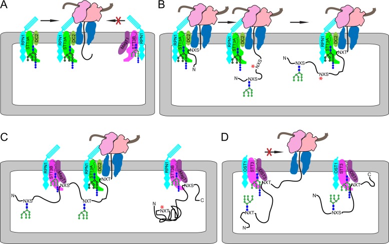 Fig. 3.