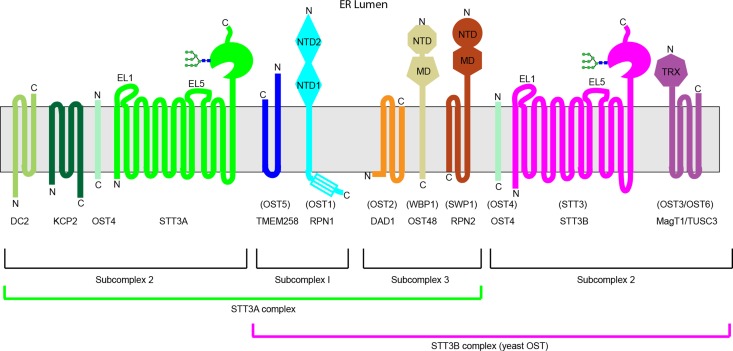 Fig. 1.