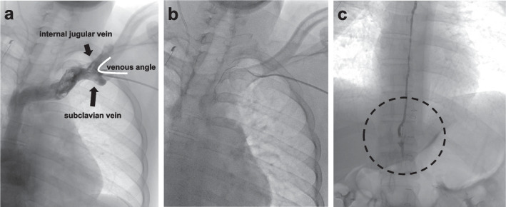 Fig. 5