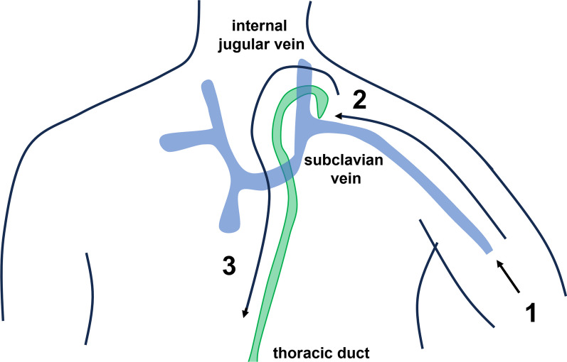 Fig. 4