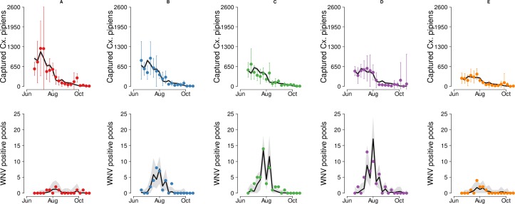 Fig 3