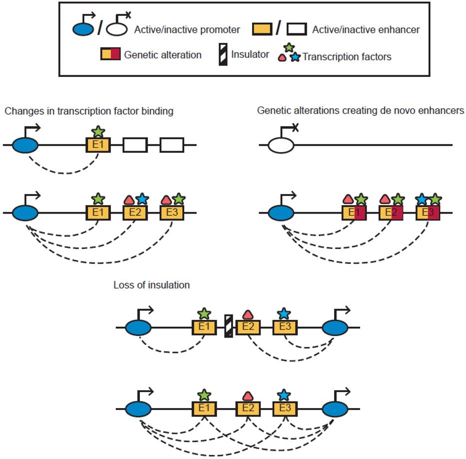 Figure 4: