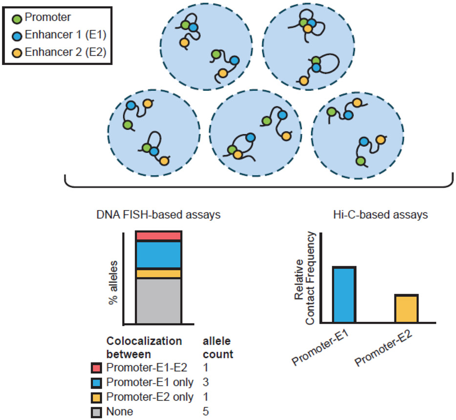 Figure 3: