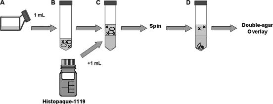 FIG. 1.