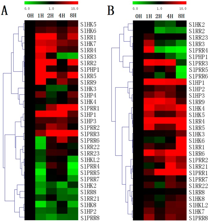 Figure 11