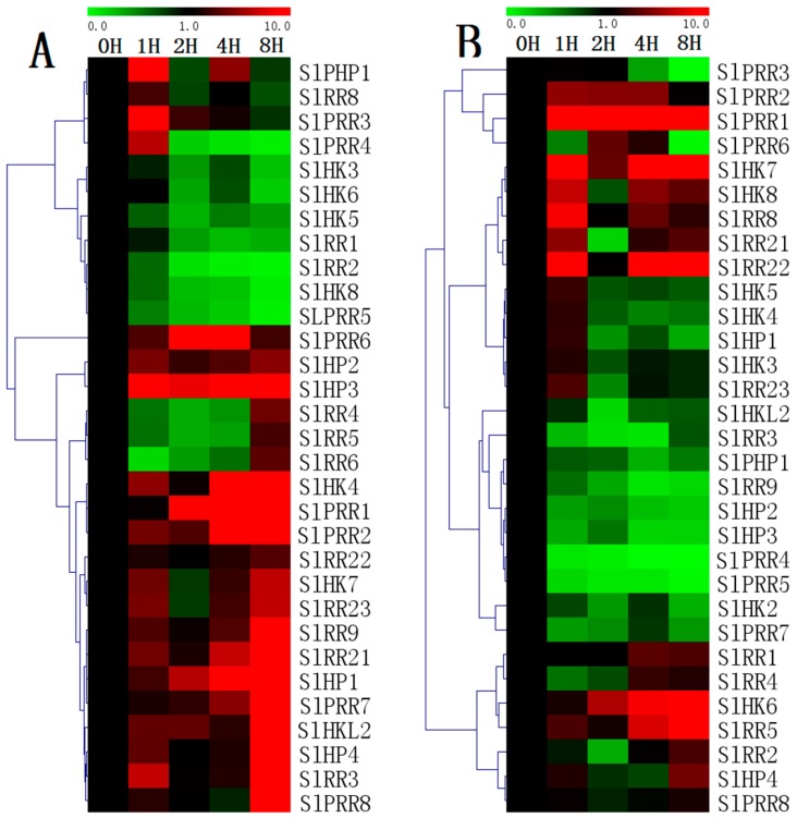 Figure 12