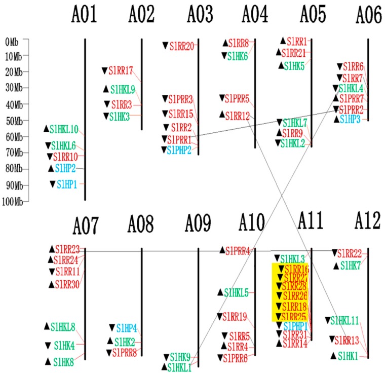 Figure 7