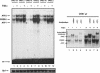 FIG. 9.