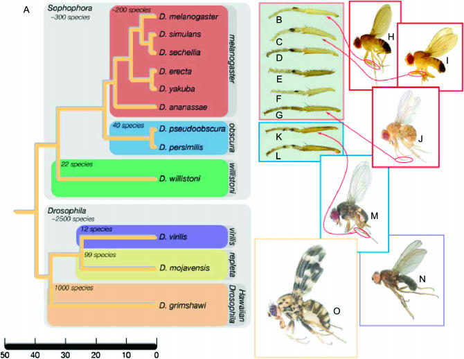 Figure 1.—