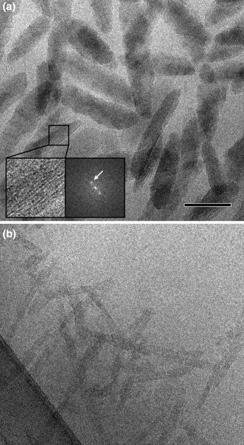 Fig. 2