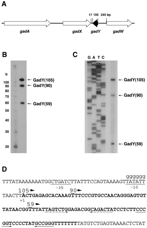 FIG. 1.