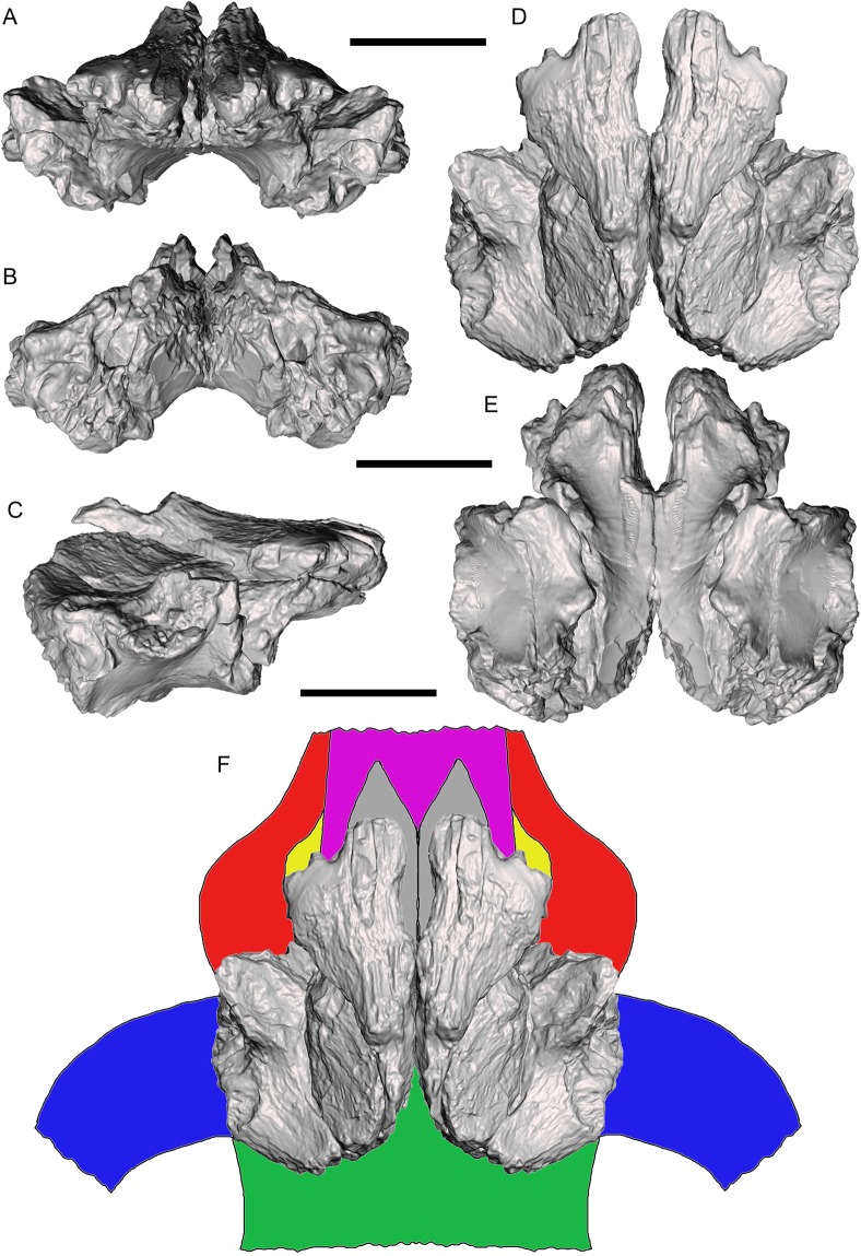 Figure 13