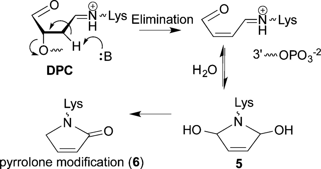 Scheme 5