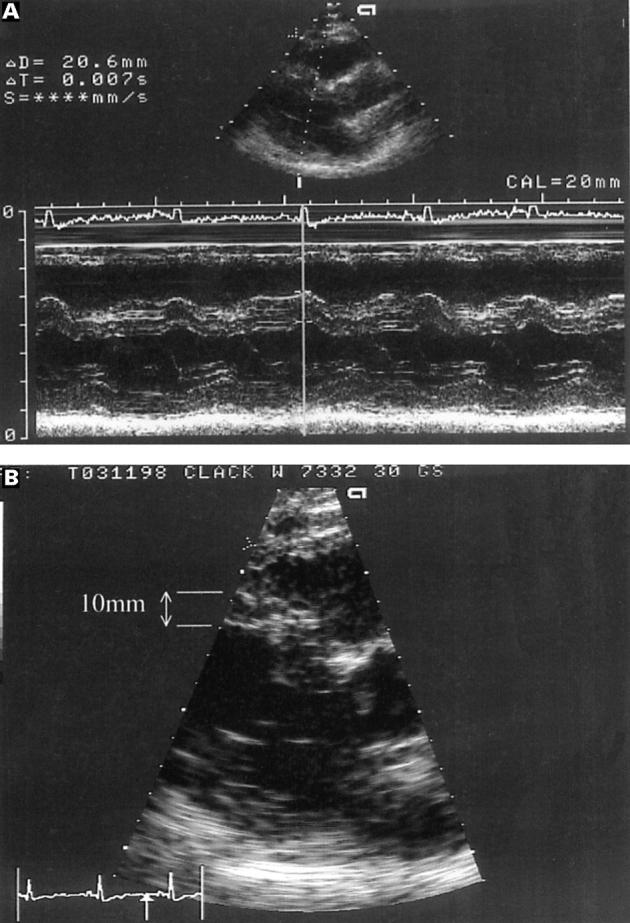 Figure 7  