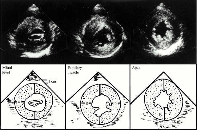 Figure 2  