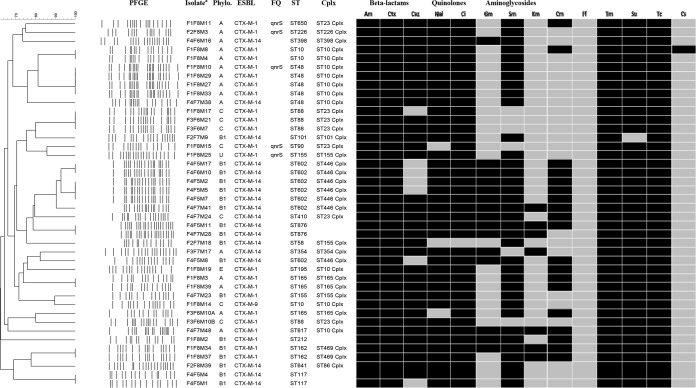 FIG 1