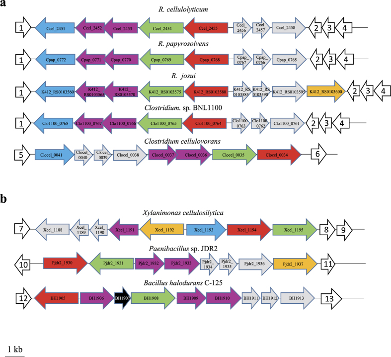 Figure 12