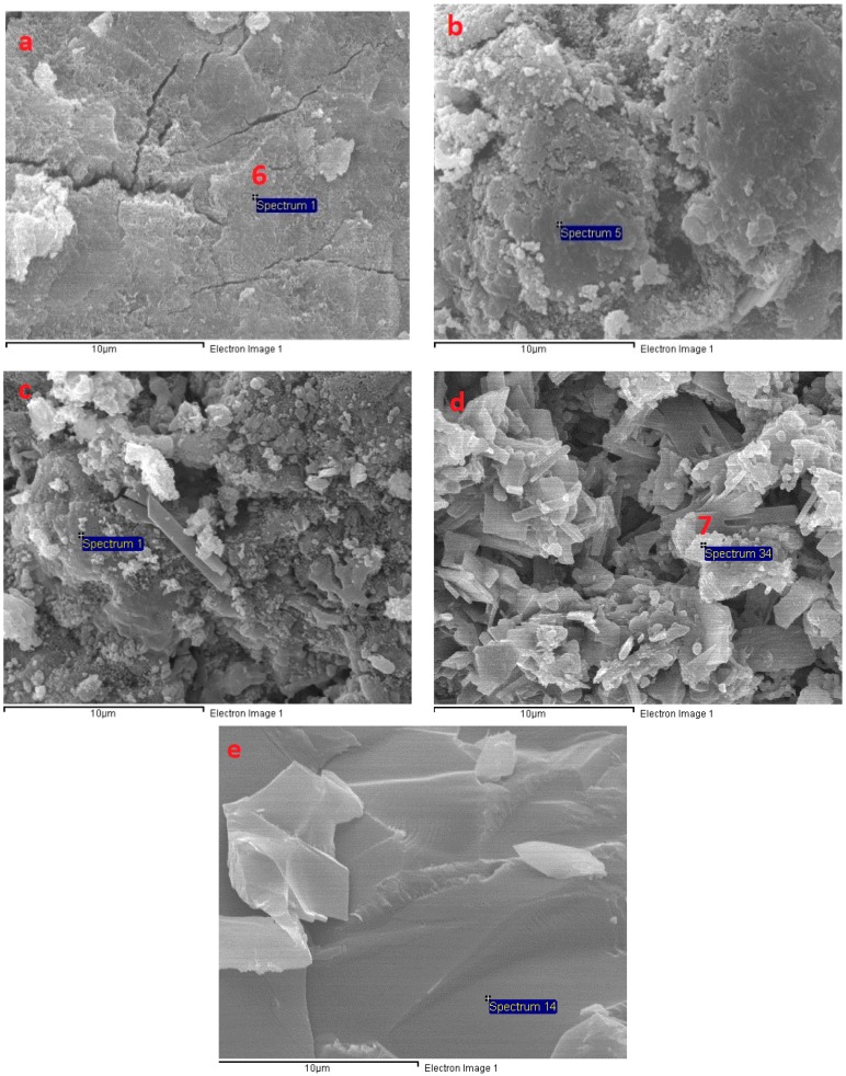 Figure 13