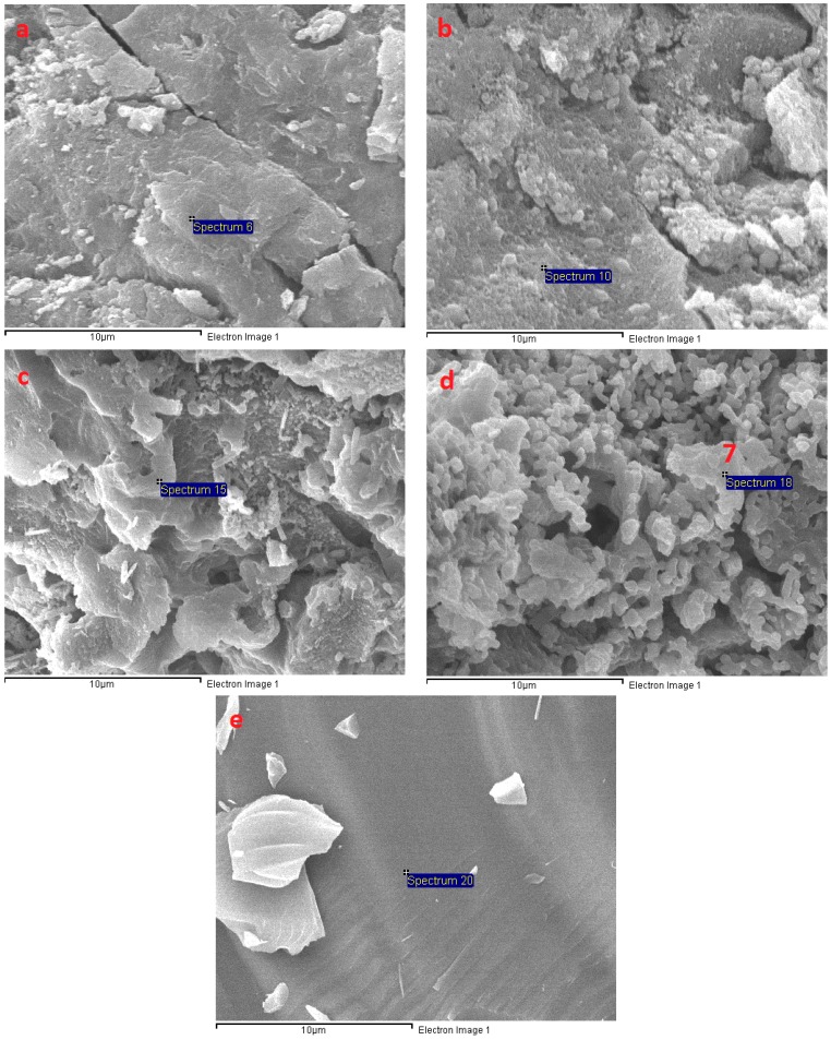 Figure 14