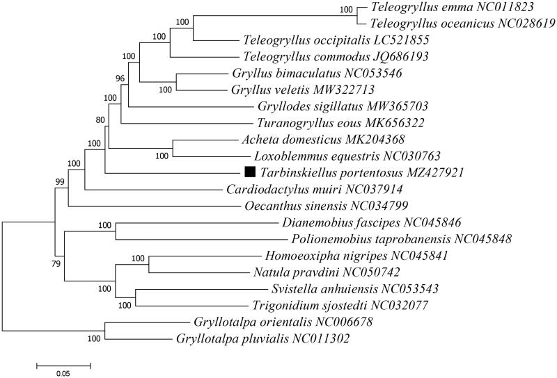 Figure 1.