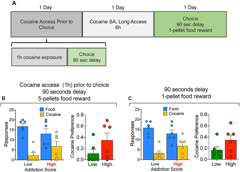 Figure 4: