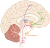 Fig. 2