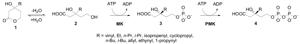 Scheme 1