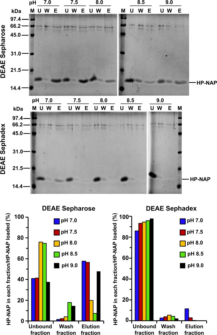 Fig 8