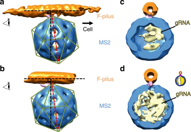 Fig. 5