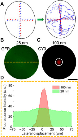 Fig. 4