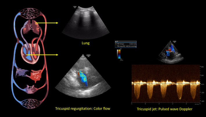 FIGURE 2