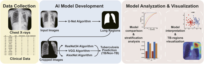 FIGURE 1