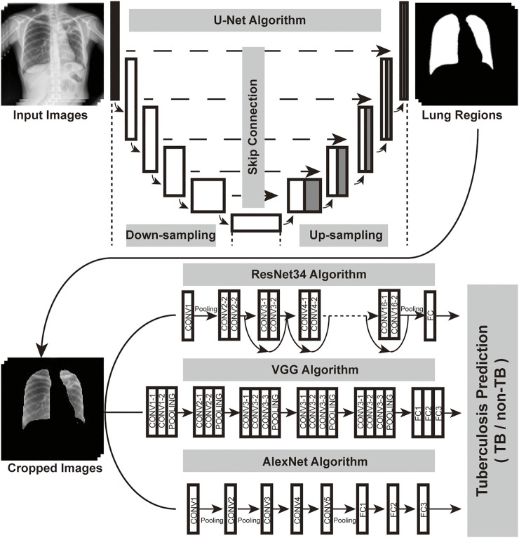 FIGURE 2